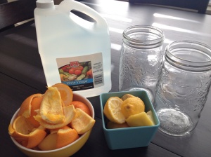 Collect what you need...white vinegar, rinds of lemons or oranges, and some empty jars.